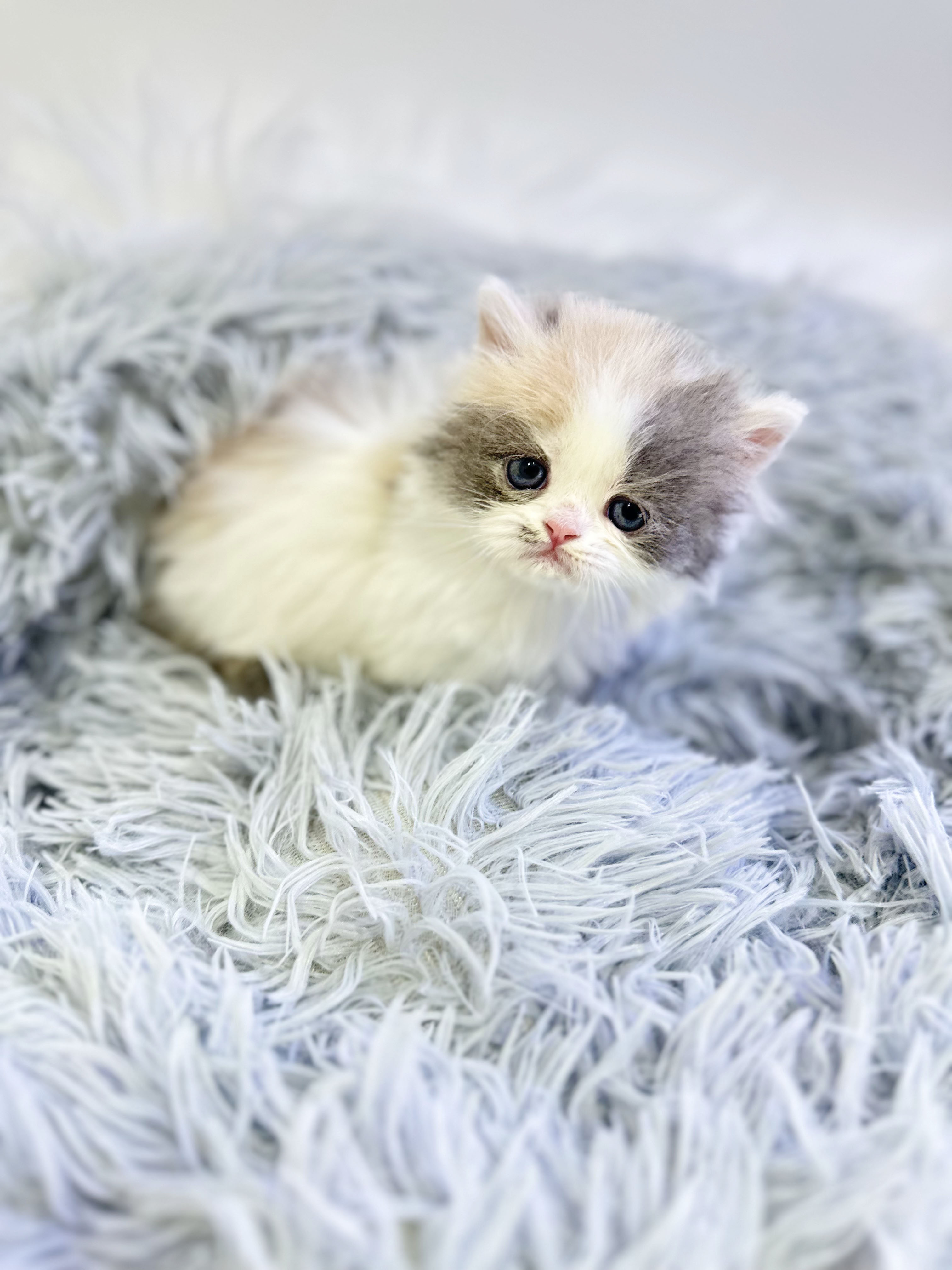 0c5e02e22d6c6fb8b20fe3bbc051f45e_1764398027_4661.jpg 0c5e02e22d6c6fb8b20fe3bbc051f45e_1764398027_4661.jpg