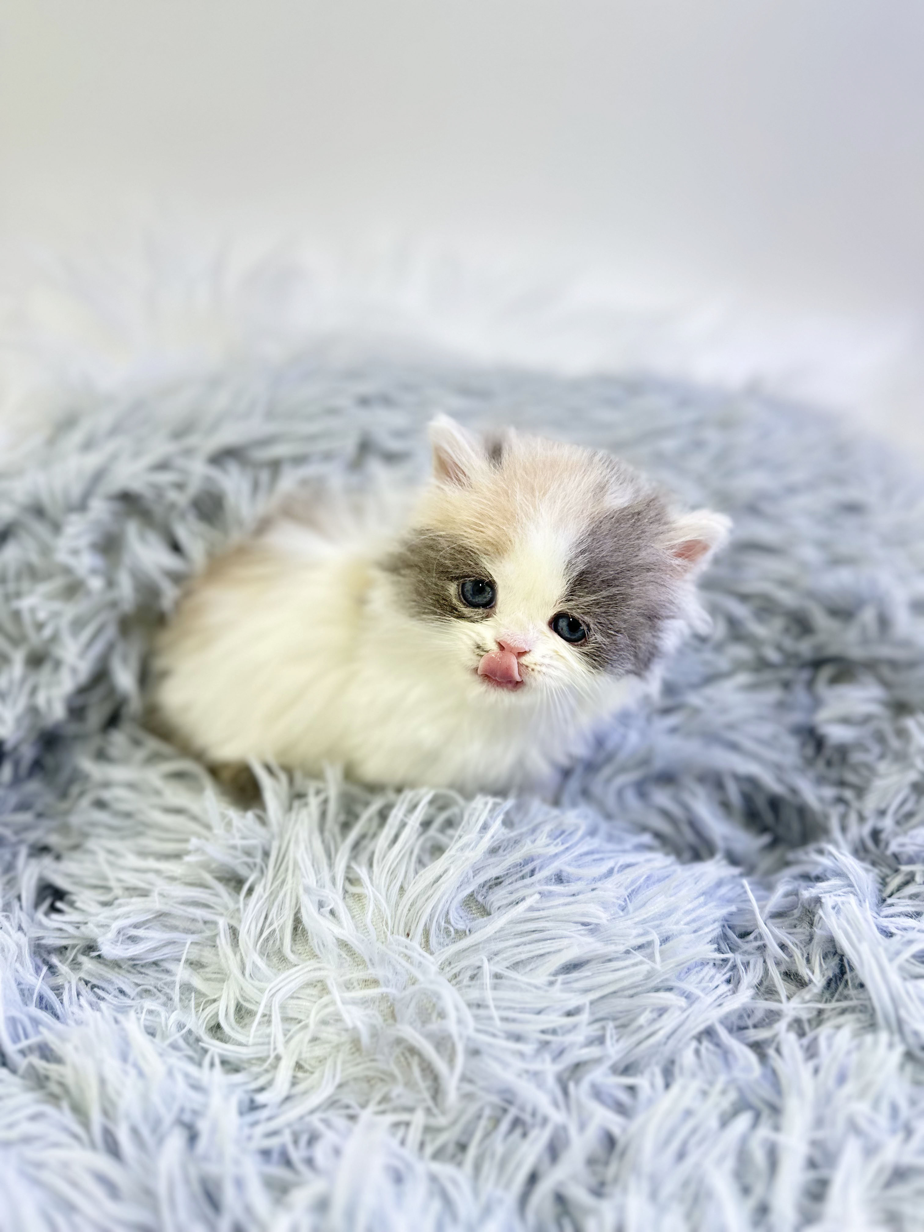 0c5e02e22d6c6fb8b20fe3bbc051f45e_1764398028_7695.jpg 0c5e02e22d6c6fb8b20fe3bbc051f45e_1764398028_7695.jpg