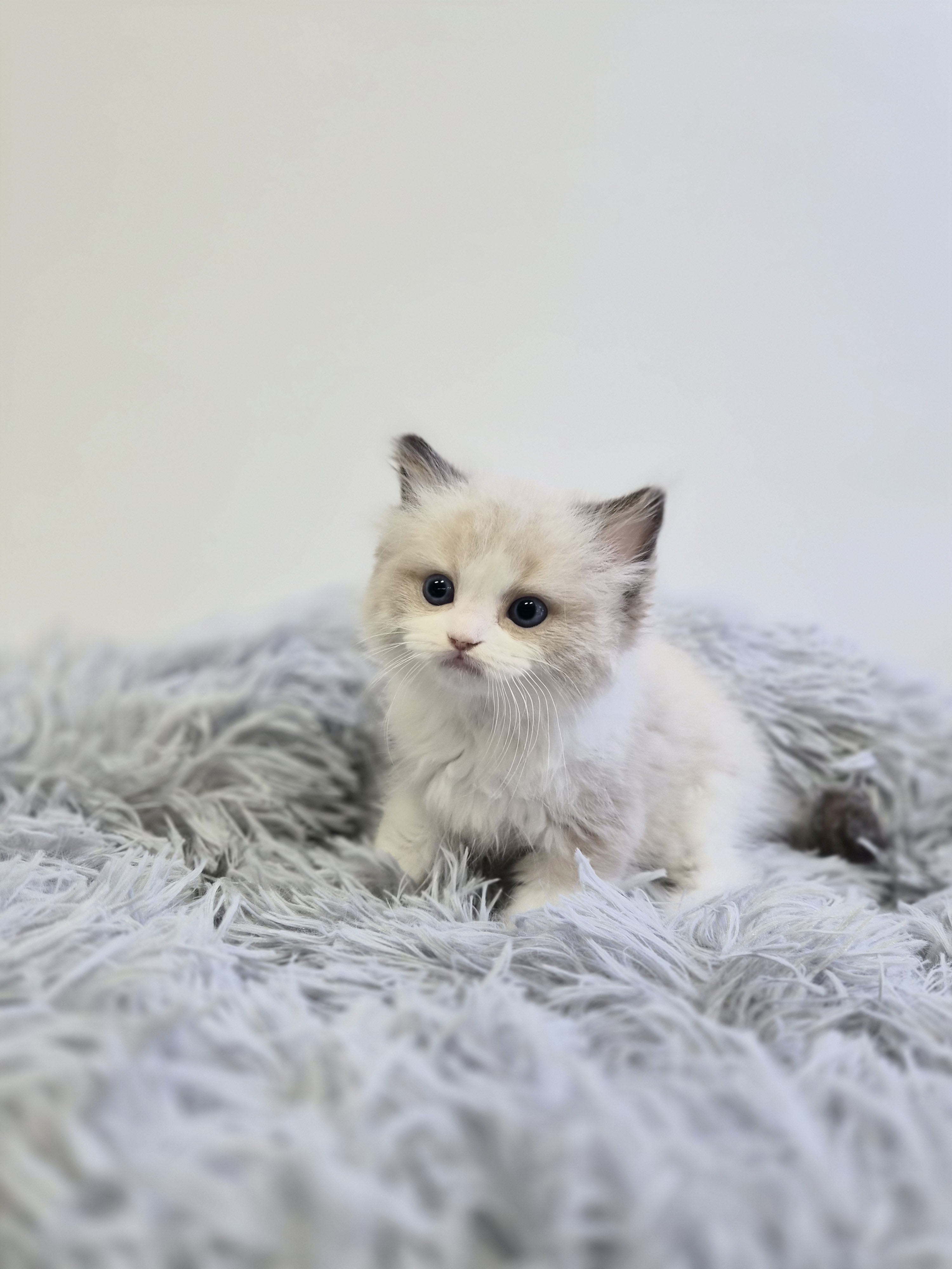 e8490dc16e599ffed1a9a995dd8d3950_1765018194_0707.jpg e8490dc16e599ffed1a9a995dd8d3950_1765018194_0707.jpg