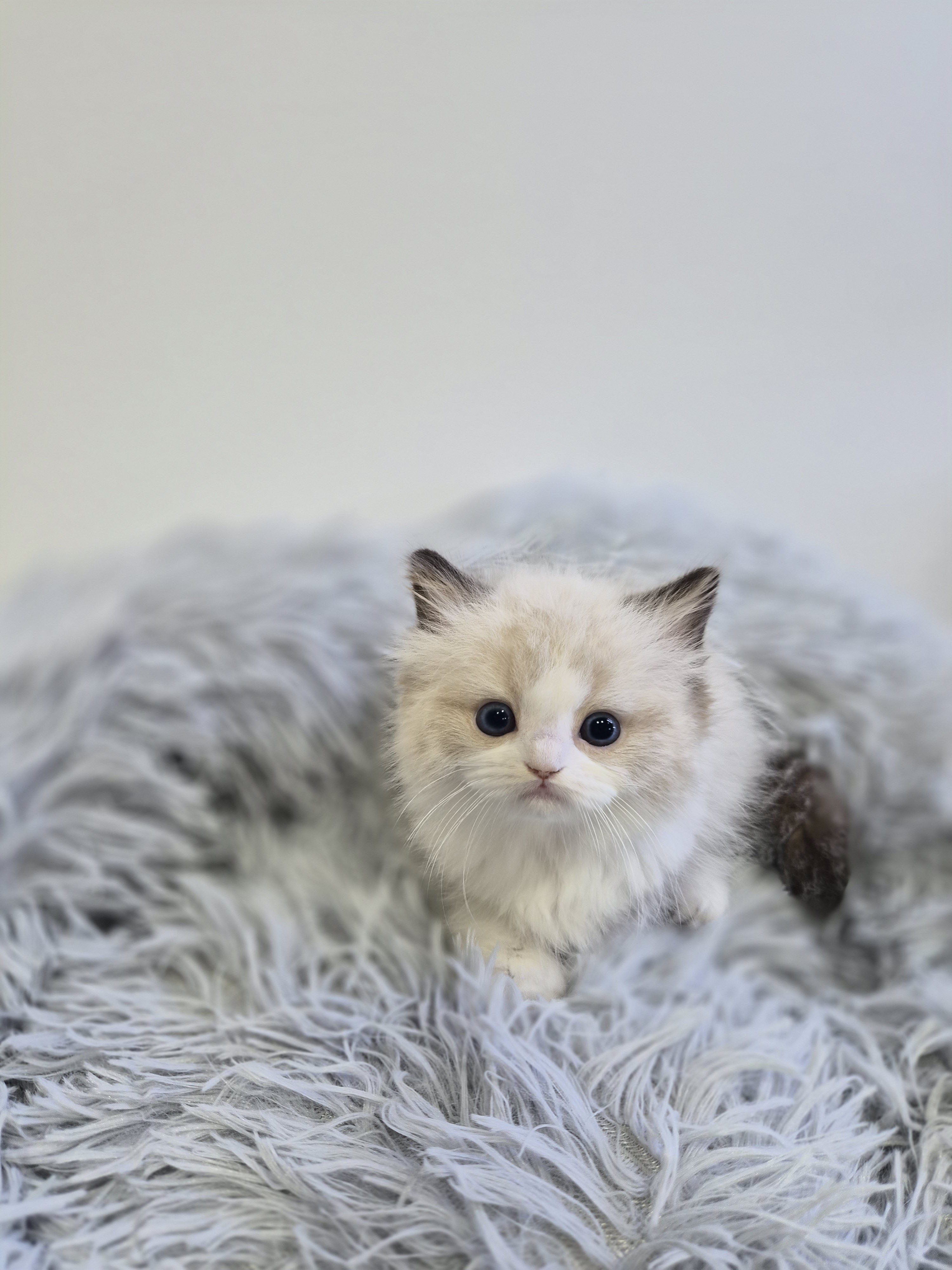 e8490dc16e599ffed1a9a995dd8d3950_1765018195_0102.jpg e8490dc16e599ffed1a9a995dd8d3950_1765018195_0102.jpg