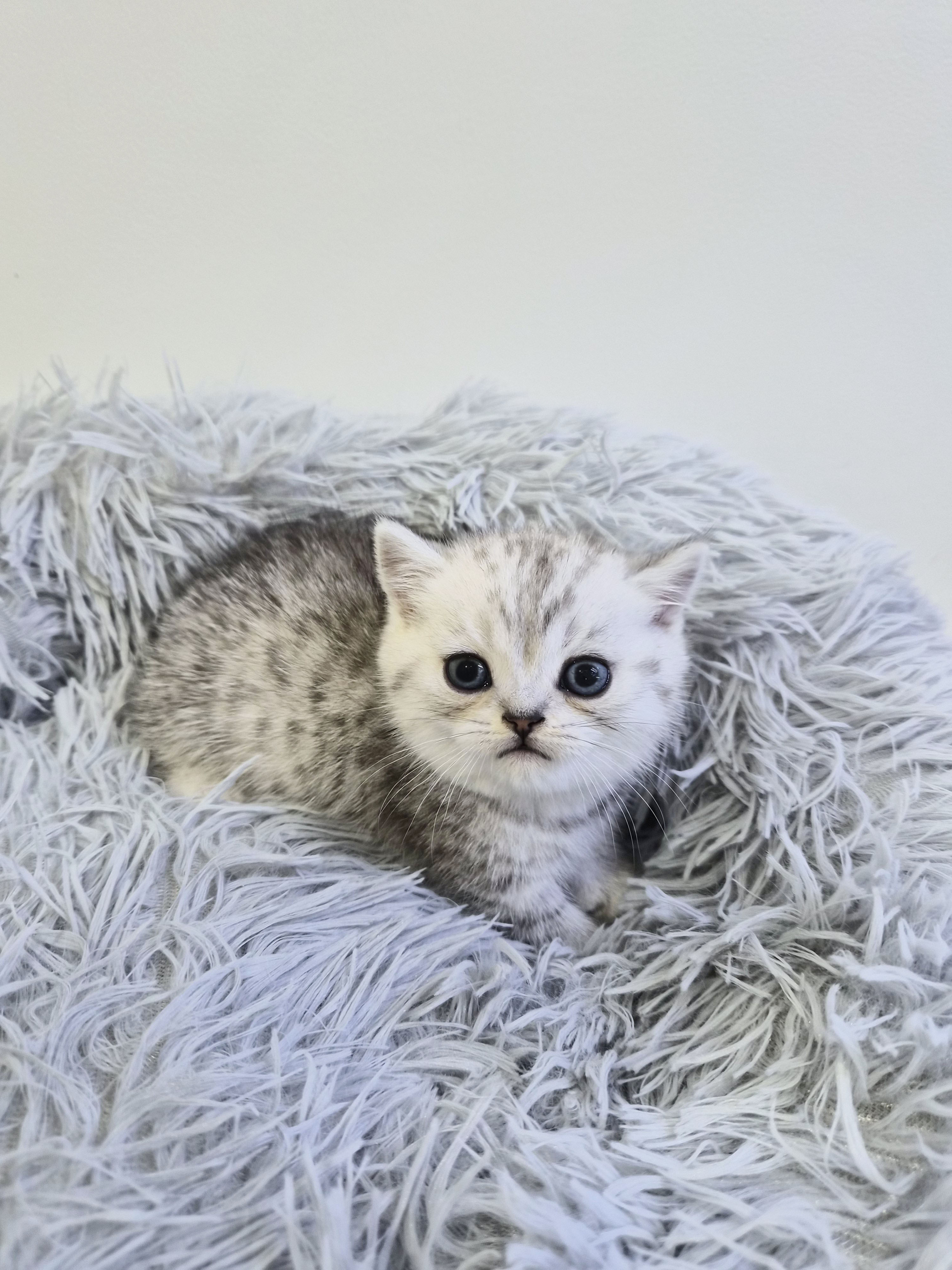 e8490dc16e599ffed1a9a995dd8d3950_1765018241_376.jpg e8490dc16e599ffed1a9a995dd8d3950_1765018241_376.jpg