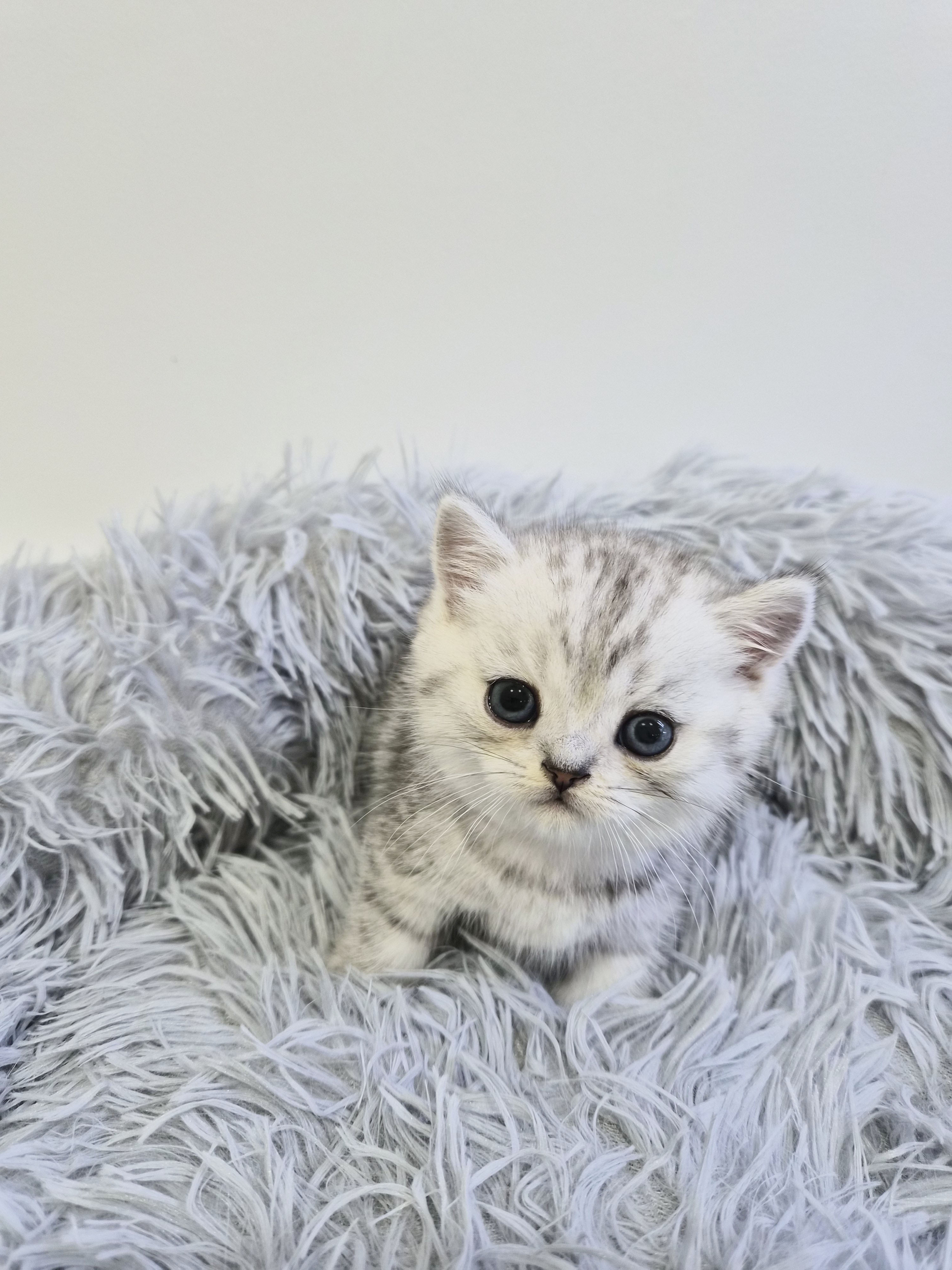 e8490dc16e599ffed1a9a995dd8d3950_1765018243_952.jpg e8490dc16e599ffed1a9a995dd8d3950_1765018243_952.jpg