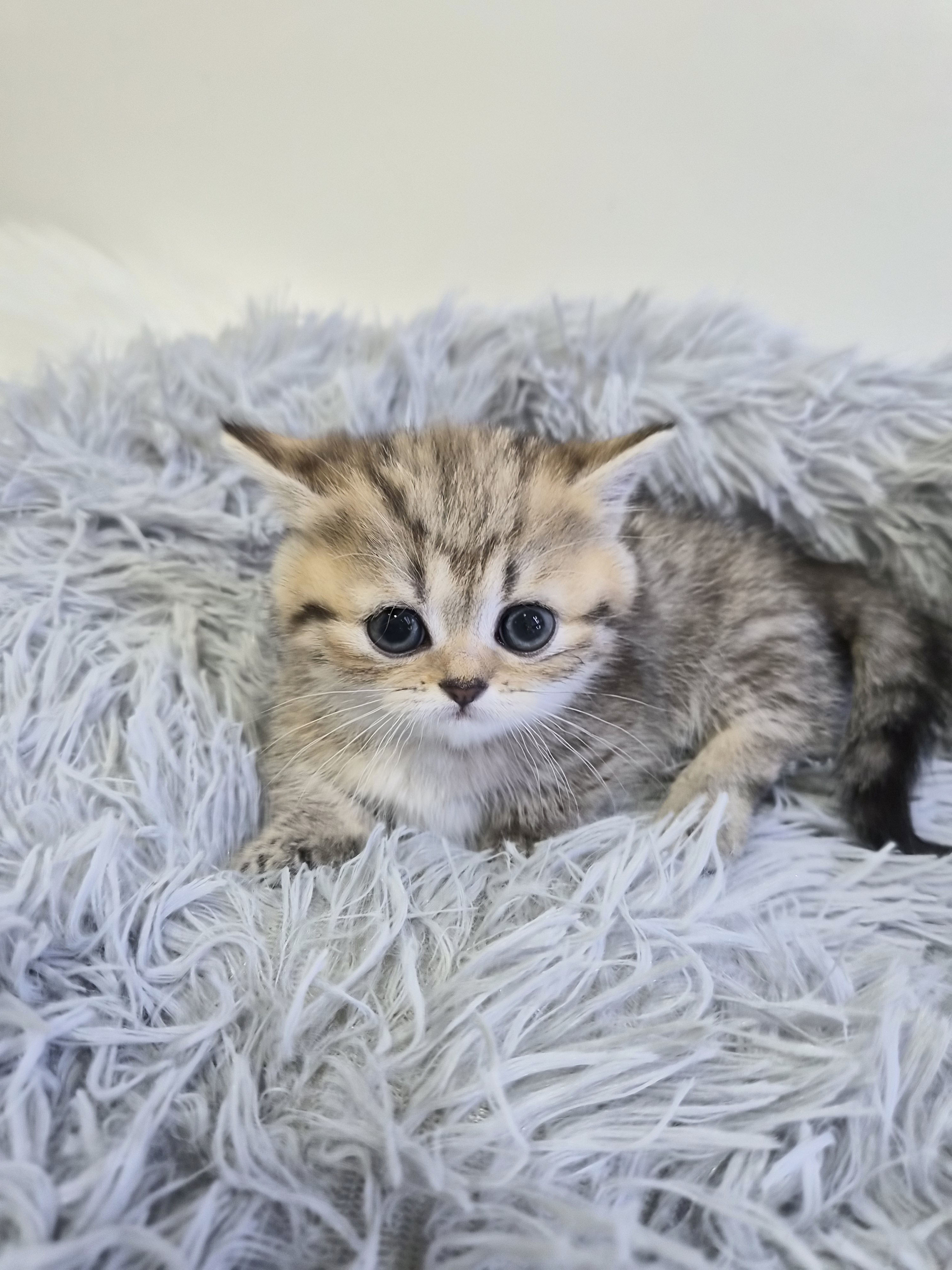 e8490dc16e599ffed1a9a995dd8d3950_1765018286_2498.jpg e8490dc16e599ffed1a9a995dd8d3950_1765018286_2498.jpg