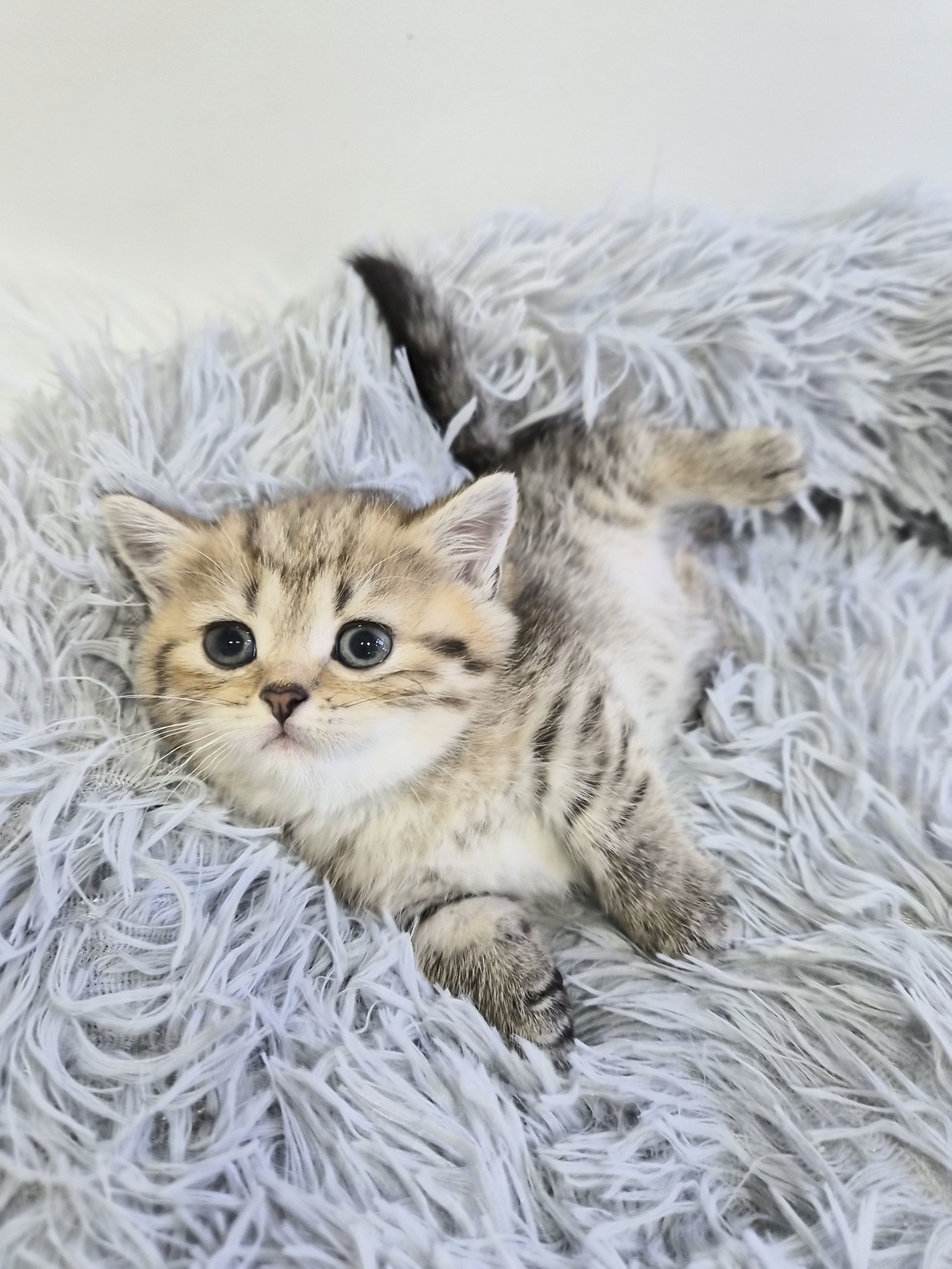 e8490dc16e599ffed1a9a995dd8d3950_1765018287_0215.jpg e8490dc16e599ffed1a9a995dd8d3950_1765018287_0215.jpg