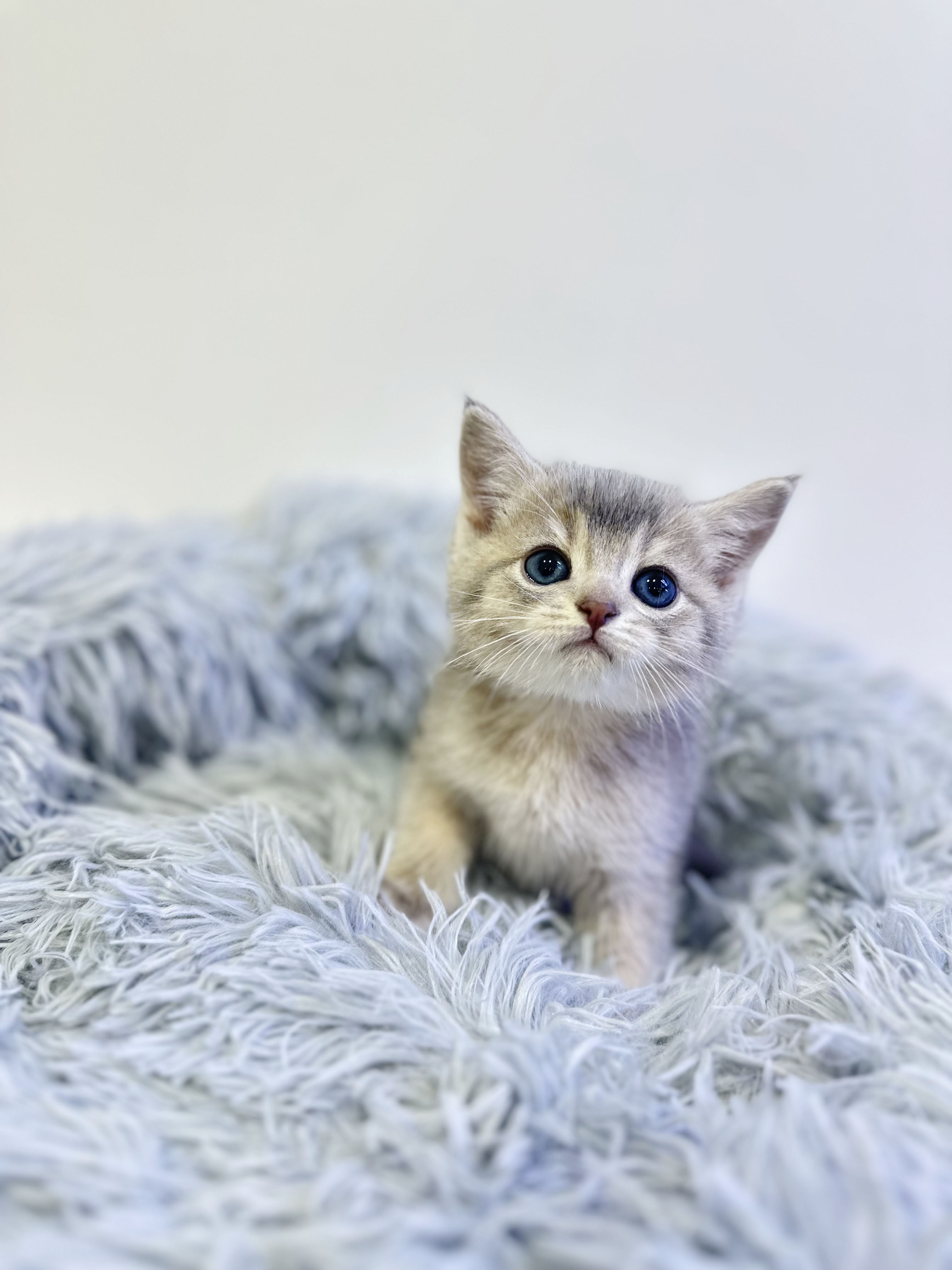 e8490dc16e599ffed1a9a995dd8d3950_1765018371_721.jpg e8490dc16e599ffed1a9a995dd8d3950_1765018371_721.jpg