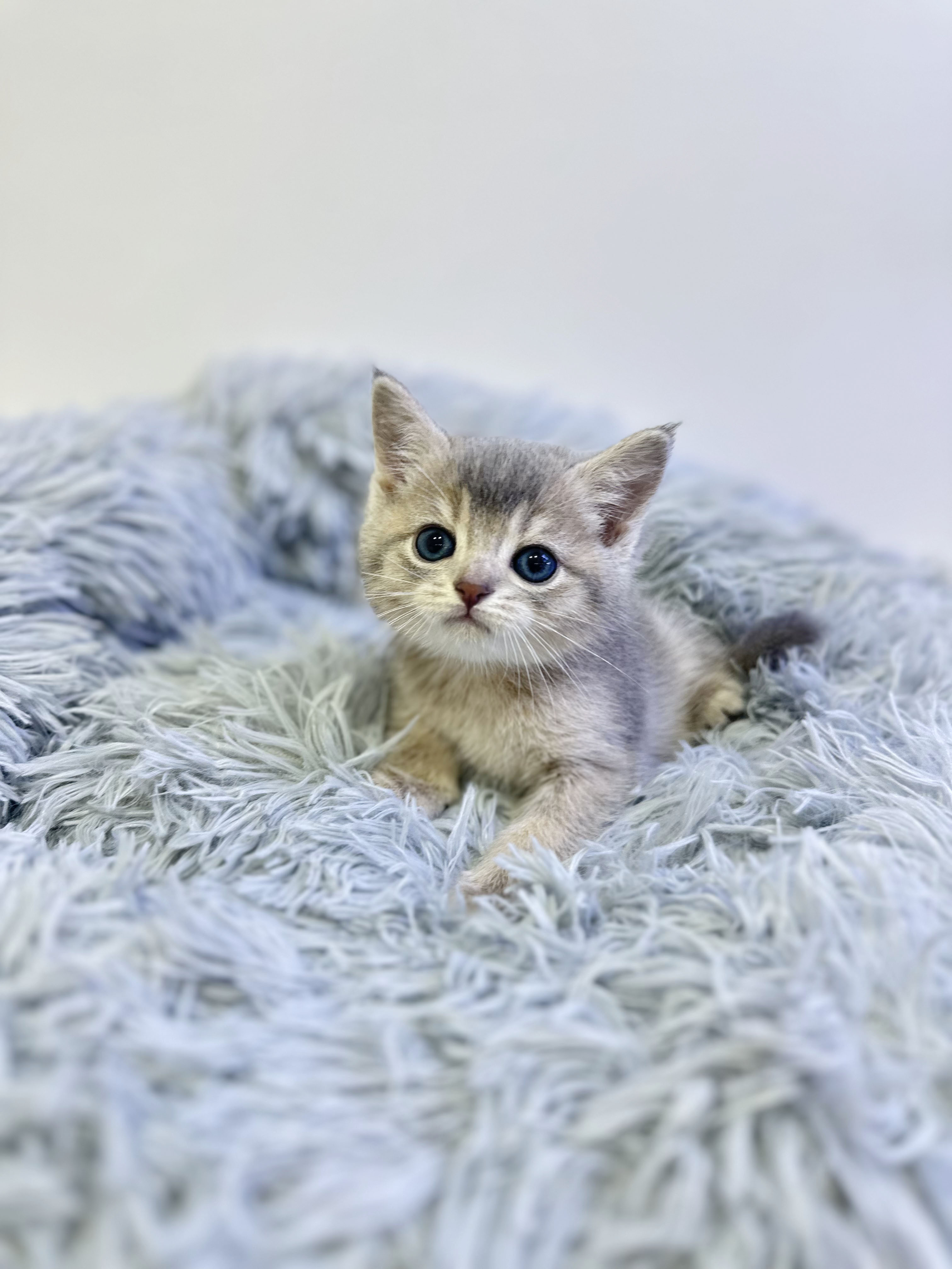 e8490dc16e599ffed1a9a995dd8d3950_1765018372_4444.jpg e8490dc16e599ffed1a9a995dd8d3950_1765018372_4444.jpg