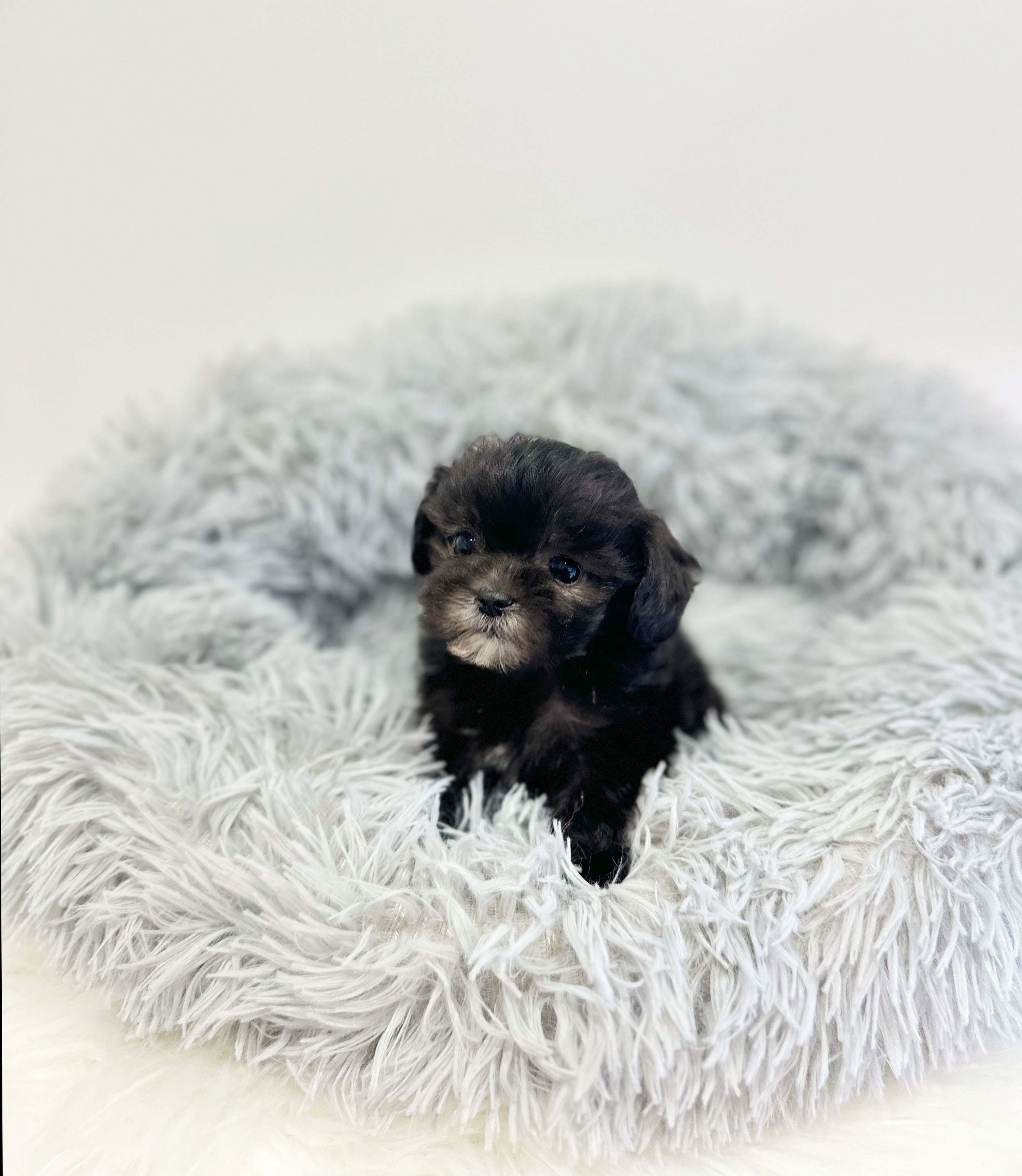 03cb31589c6356c80d87845eda3d0a9d_1769165886_7336.jpg 03cb31589c6356c80d87845eda3d0a9d_1769165886_7336.jpg