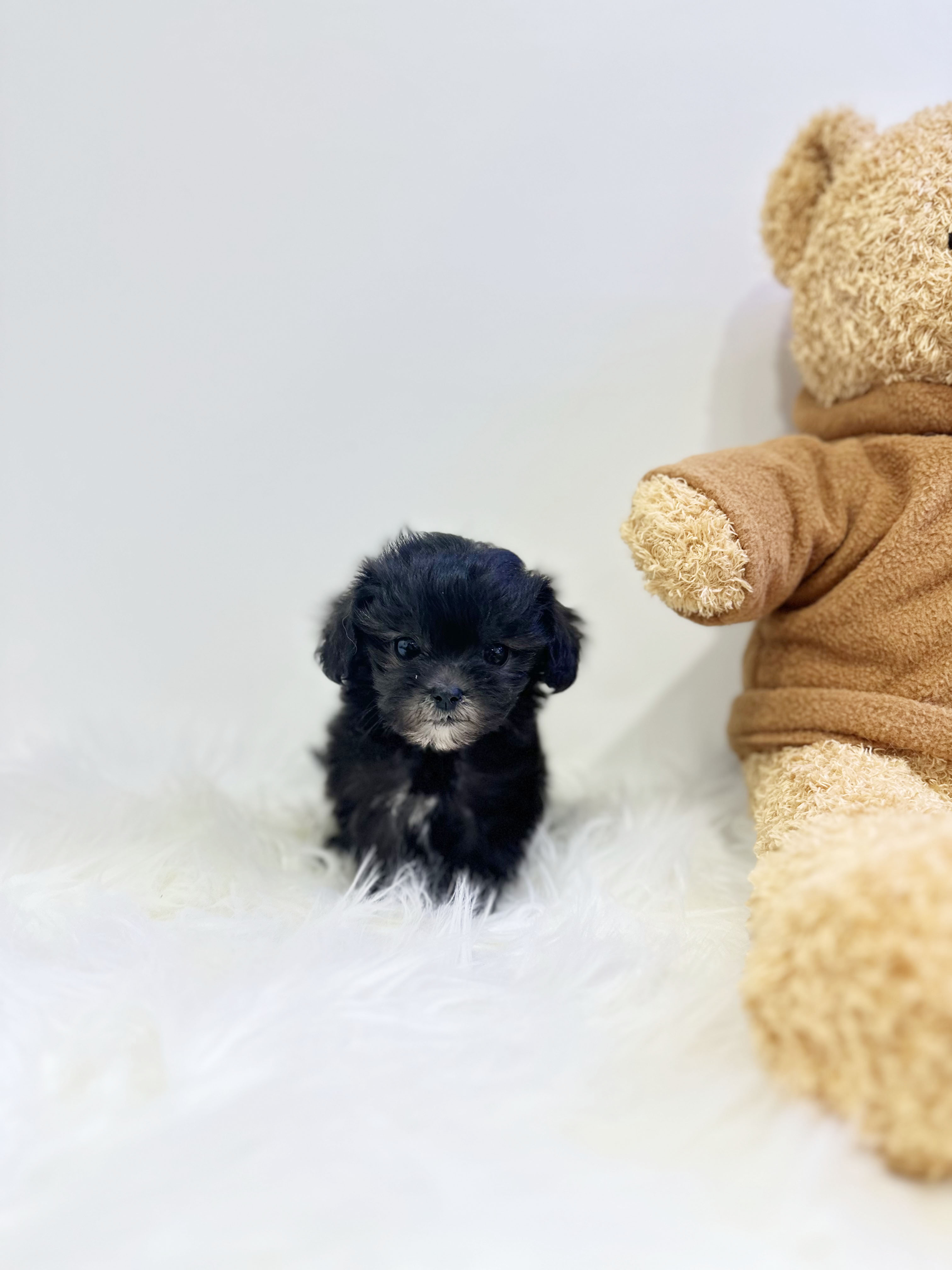 03cb31589c6356c80d87845eda3d0a9d_1769165887_3808.jpg 03cb31589c6356c80d87845eda3d0a9d_1769165887_3808.jpg