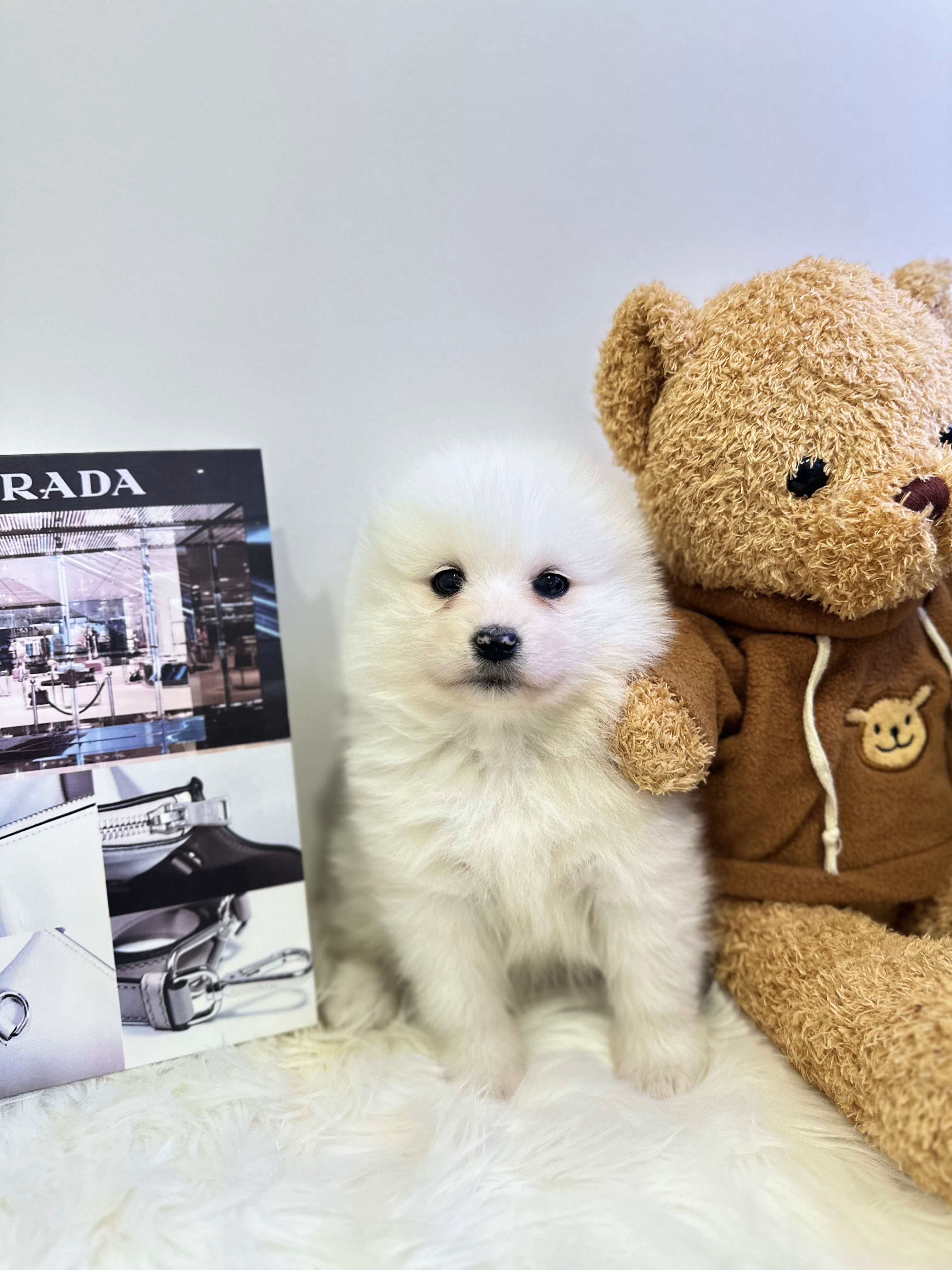 8c2e1c51a919ba98638178976a46f9e3_1771929011_6919.jpg 8c2e1c51a919ba98638178976a46f9e3_1771929011_6919.jpg