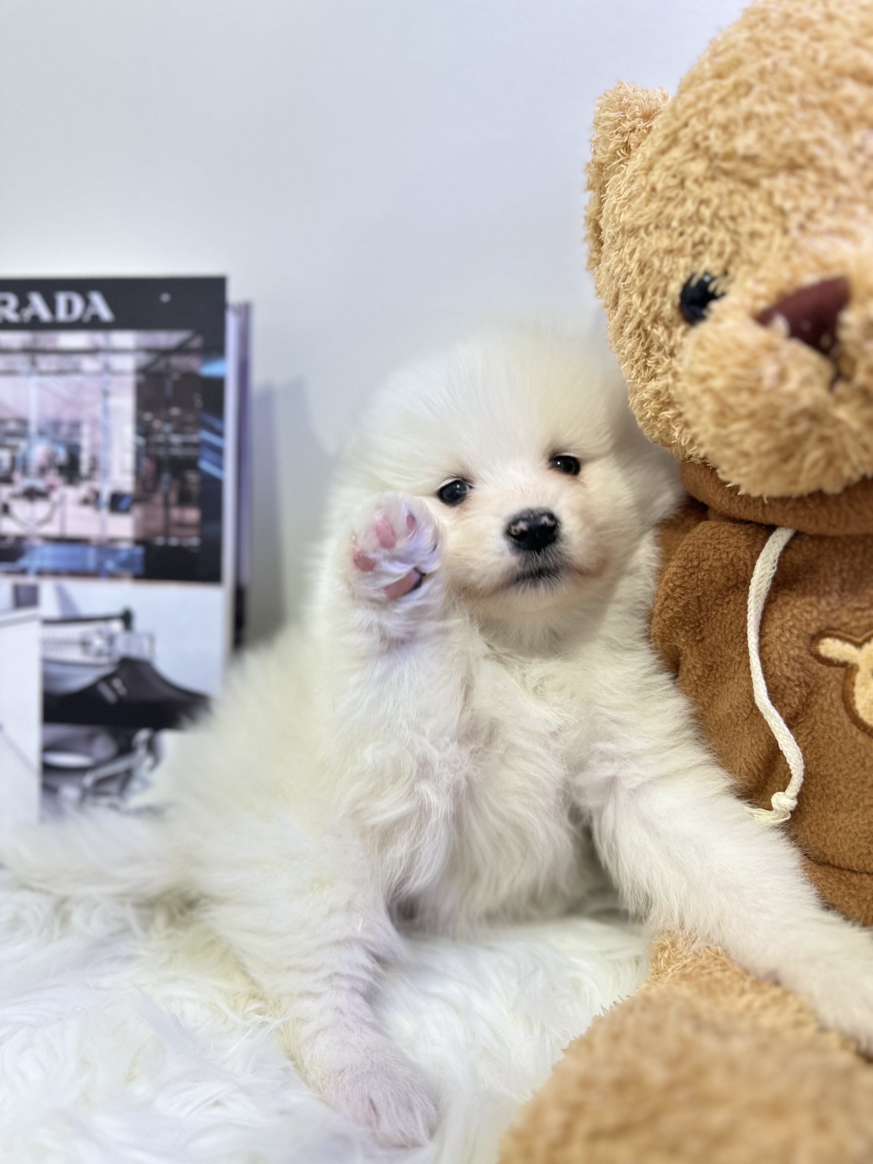 8c2e1c51a919ba98638178976a46f9e3_1771929015_3937.jpg 8c2e1c51a919ba98638178976a46f9e3_1771929015_3937.jpg