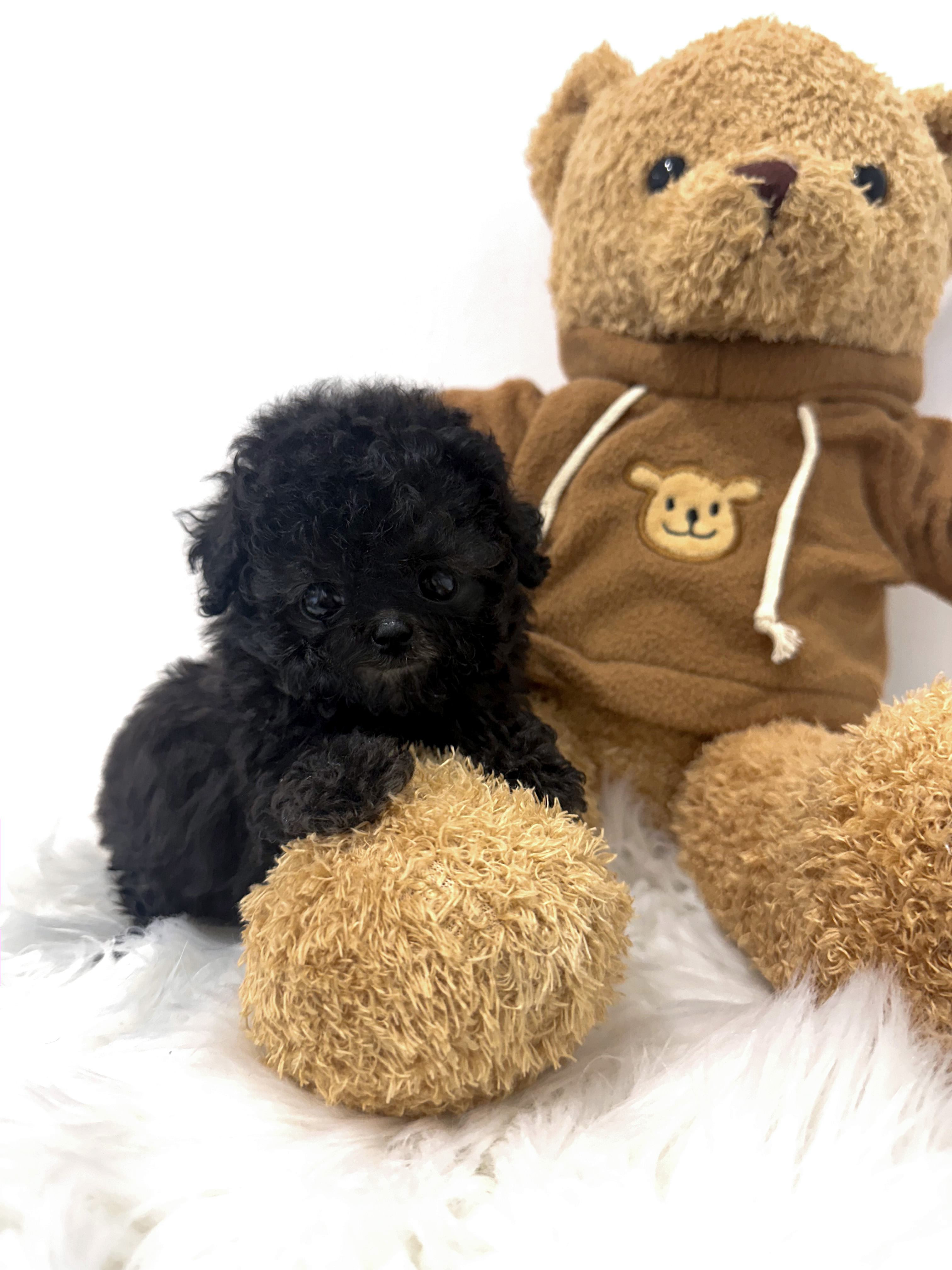 6d879518a2c3261069d0f53b19c6ba60_1785308541_9677.jpg