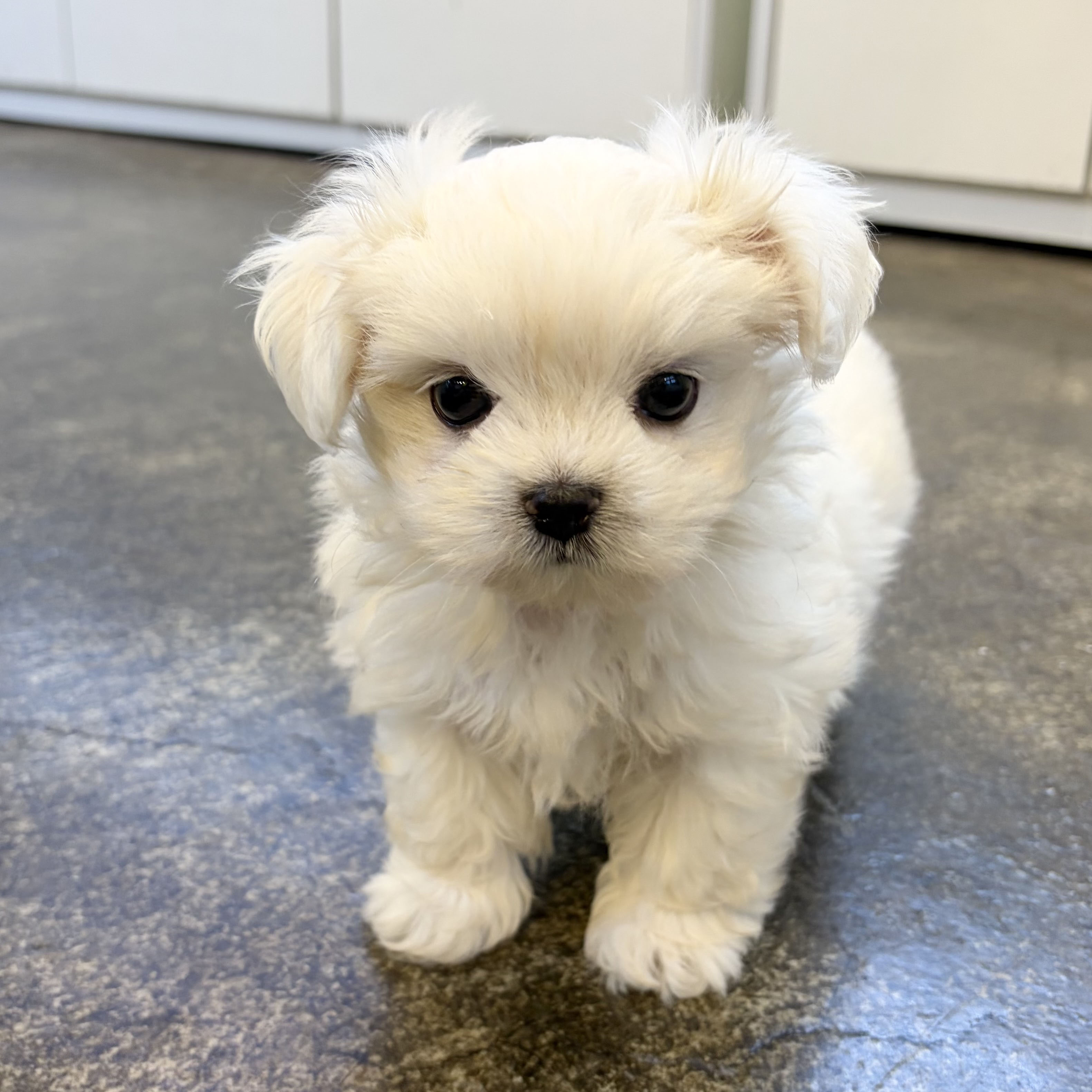 d3e2df61e2ddb78a664fd957656a0beb_1784024473_0916.jpg